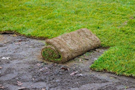 Unroll Green Grass Turf Rolls for Landscaping Purposes on Construction Site Stock Photo - Image ...