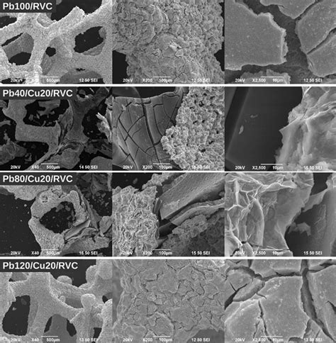 sem images  electrodes collectors  corrosion rate tests