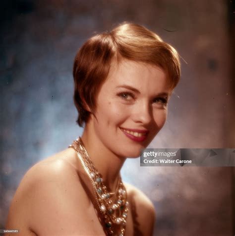 Actress Jean Seberg Poses In Studio Lactrice Jean Seberg Pose En