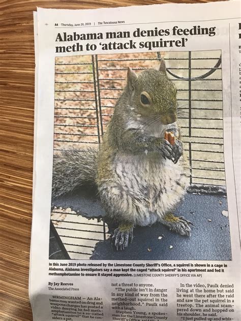 Flordia Man has new competition : r/Alabama