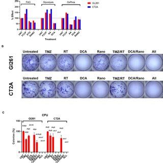 Tmz And Dca Increase Dna Damage In Gbm Cell Lines A Representative