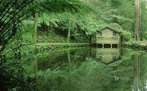 HD wallpaper: Green Gables-Bing theme wallpaper, brown wooden house ...