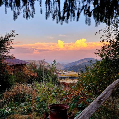 Everything you need to know about Coles North Ward hours 2