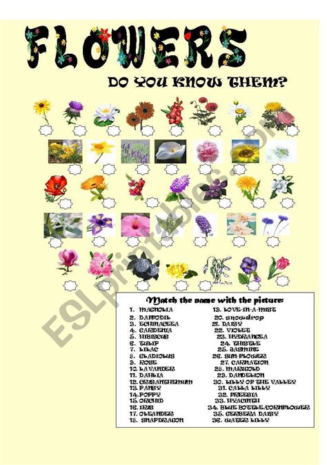 Flowers Esl Worksheet By Denisa