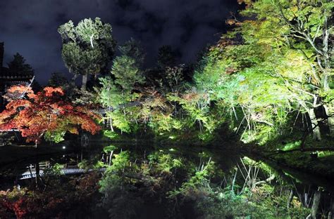 Night Scenery Of The Pool In Traditional Japan Garden Stock Photo