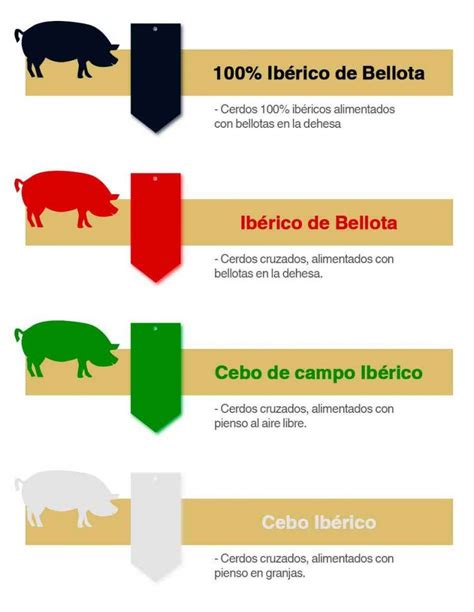 Tipos de Jamón Ibérico Queso Jamón