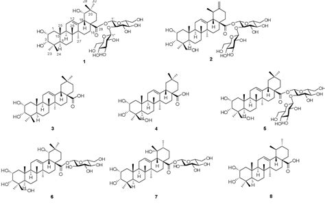 Figure 1 from TWO NEW TRITERPENE SAPONINS FROM THE TUBERS OF STACHYS SIEBOLDII | Semantic Scholar