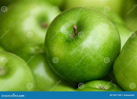 Green Apples Stock Photo Image Of Color Dieting Juicy 5251166