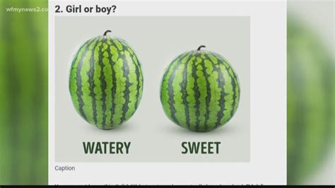 Verify Boy Versus Girl Watermelons