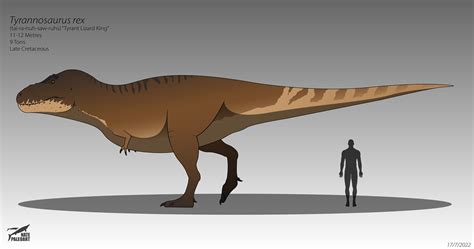 Tyrannosaurus rex 2022 by NatePaleoart on DeviantArt