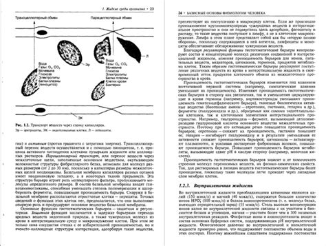 «Нормальная физиология человека» (2005), Борис Ткаченко. В книге ...