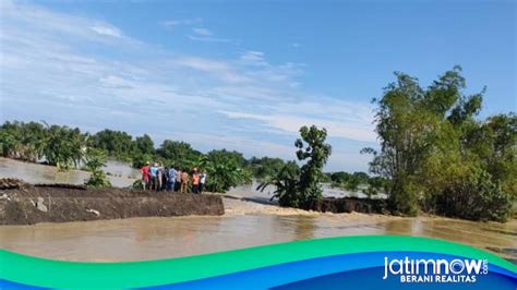 70 Ha Tambak Di Lamongan Terendam Banjir Imbas Tanggul Kali Plalangan