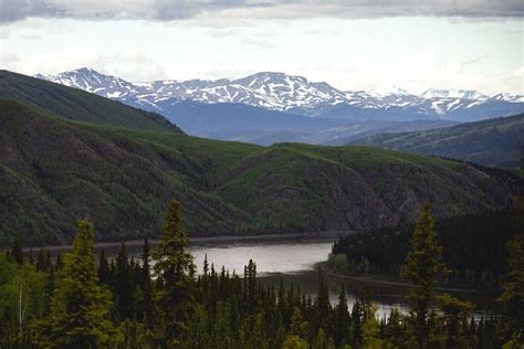 Arctic Circle Day Trip From Fairbanks With Transportation