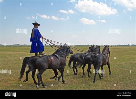 Display Of Horsemanship From Gulyas Traditional Herdsmen Cowboys