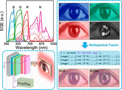 Monolithic Rgbnir Perovskite Photodetector For Fused Multispectral