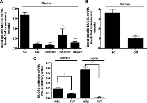 A And B Depot Specific Distribution Of Nucb Gene Expression In Mouse