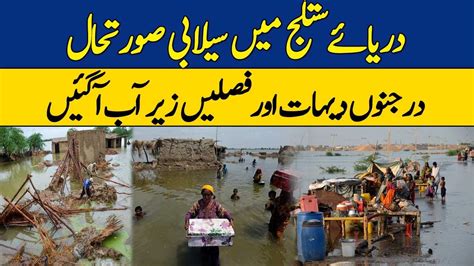 Flood Situation In Sutlej River Dawn News Youtube