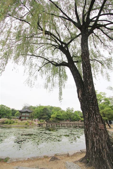 Seoul Gyeongbokgung Palace editorial image. Image of landmark - 54747930