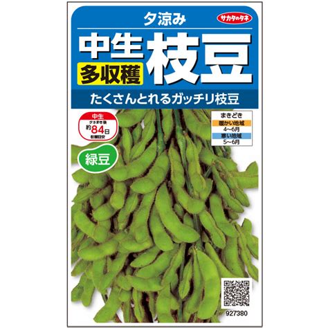 【楽天市場】【サカタのタネ公式】 エダマメ夕涼み 野菜 種 約50粒 小袋 春まき 固定種 簡単 初心者向き 育てやすい プランター 鉢