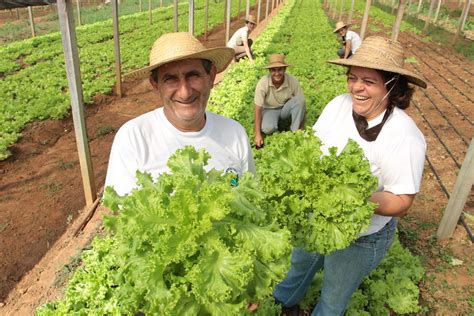 Sai A Dap Entra O Caf O Cadastro Nacional Da Agricultura Familiar