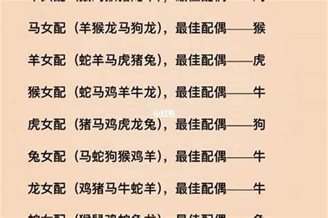 属鼠要配什么属相才好？曾仕强谈生肖属相婚配表生肖若朴堂文化