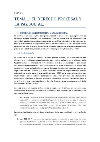 Tema Derecho Procesal Pdf