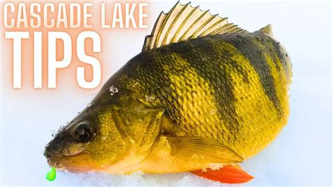 Jumbo Perch Fishing Tips And Techniques For Cascade Lake Idaho YouTube