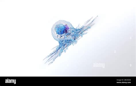 Cancer cell, illustration Stock Photo - Alamy