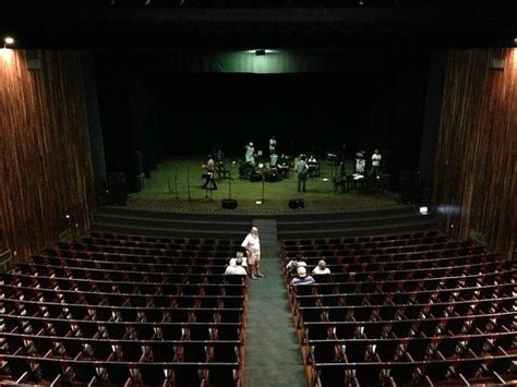 Araraquara Municipal Theater Lo Que Se Debe Saber Antes De Viajar