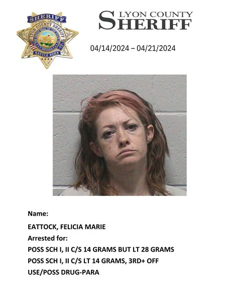 Narcotic Investigation Leads To Arrest Felicia Eattock The Pizen