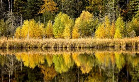 Northern Saskatchewan Lake Stock Photo Image Of Summer 27625542