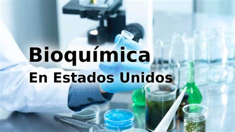 Mejores Universidades Para Estudiar Ingeniería Comercial En Estados Unidos