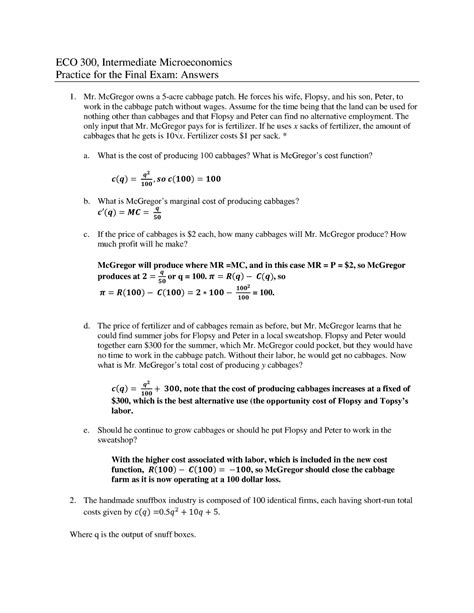 Practice Problems For Final Exam Answers Eco Intermediate