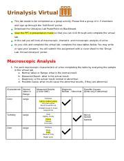 Urinalysis Virtual Lab Complete Docx Urinalysis Virtual Lab This Lab