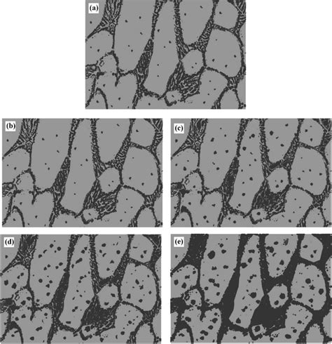 Schematic Illustration Of Microstructure Evolution Of The SLMed