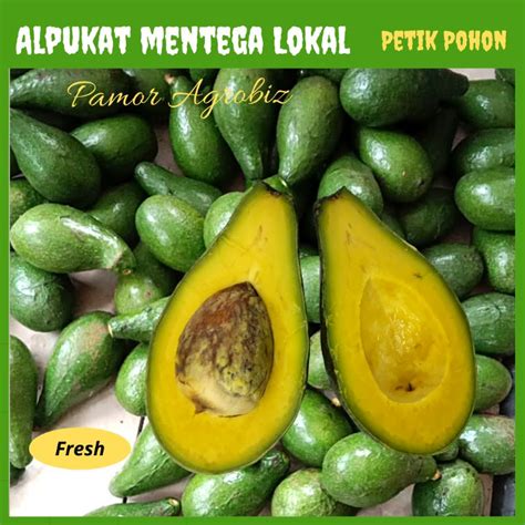 Jual Buah Alpukat Lokal Super 1 Kg Fresh Petik Langsung Pohon Shopee