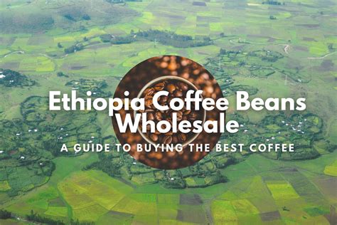 Ethiopia Coffee Beans Wholesale A Guide To Buying The Best Coffee