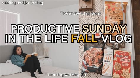 Productive Sunday Morning Fall Vlog Trader Joe S Fall Items Morning