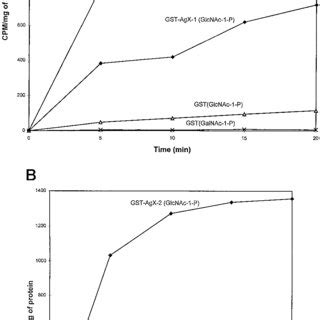 Enzymatic Activities And Substrate Specificities Of Recombinant