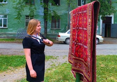 Обзор различных видов пылевыбивалок и их применение