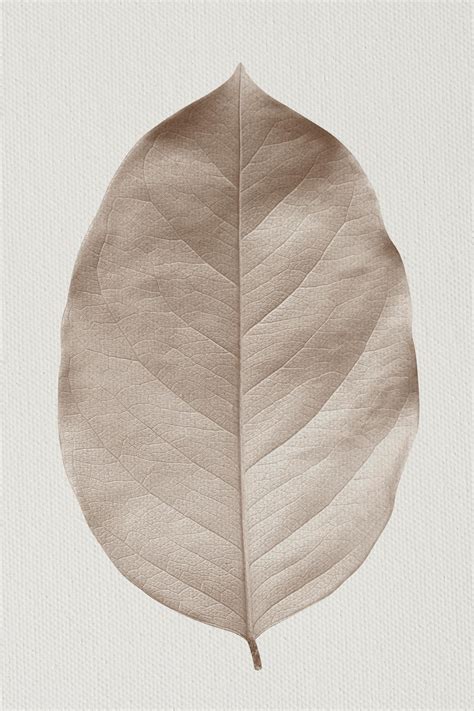 Closeup Of Leaf Textture Design Premium Psd Rawpixel