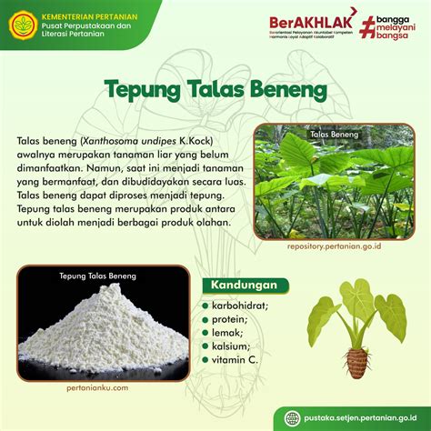 Info Teknologi Tepung Talas Beneng