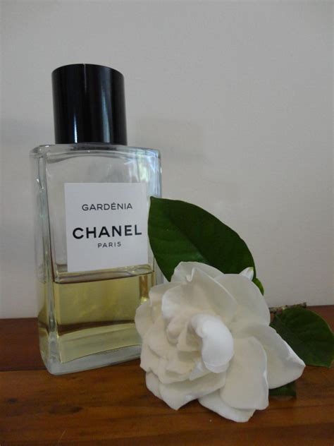 9 Best Smelling Gardenia Perfumes You Can Wear In 2024