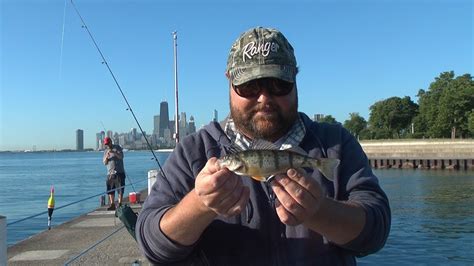 Lake Michigan Perch Youtube