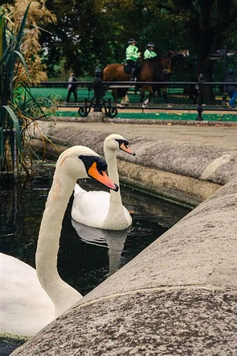 ways    photo  interesting simple tricks