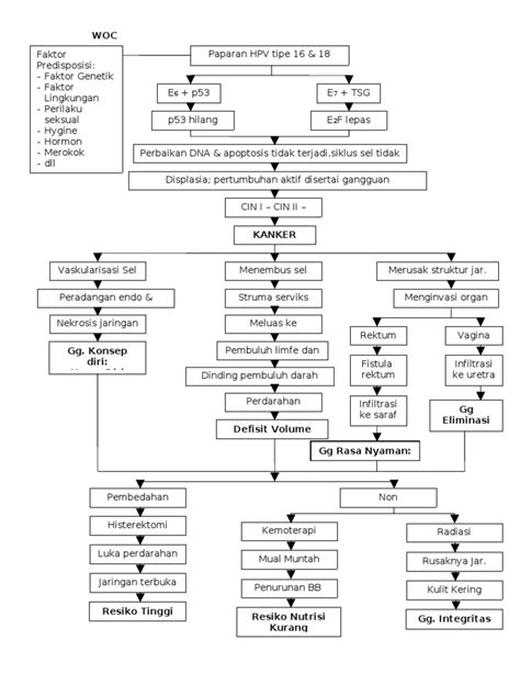 Woc Ca Serviks Pdf Sains And Matematika