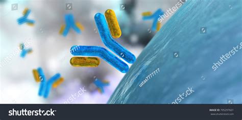 Antibody Immunoglobulins 3d Rendering Stock Illustration 795297601