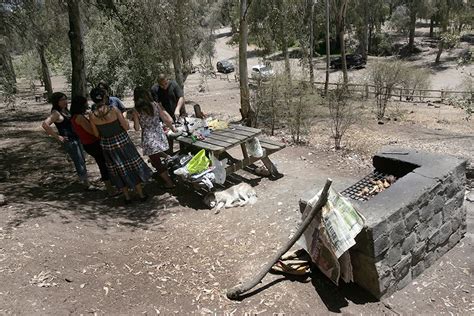 Descartan que muertes en Laguna Verde sean por intoxicación masiva