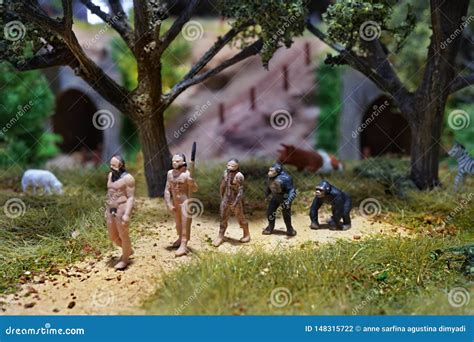 Miniatura De La Teor A De La Evoluci N Del Hombre Desarrollo Humano