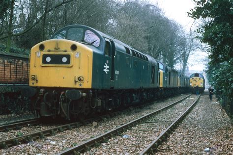 British Rail Class 40 Diesel Locomotives 40181 40155 And  Flickr